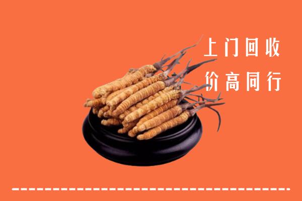 高价求购：克孜勒苏州阿图什回收散虫草
