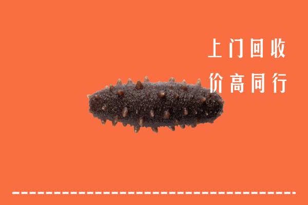 高价求购：克孜勒苏州阿图什回收海参