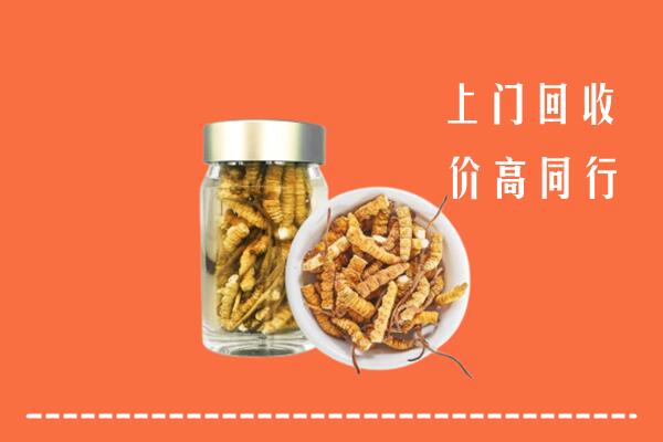 克孜勒苏州阿图什回收冬虫夏草